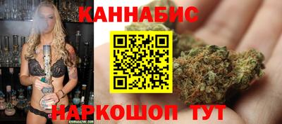стаф Моздок