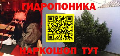 таблы Можга