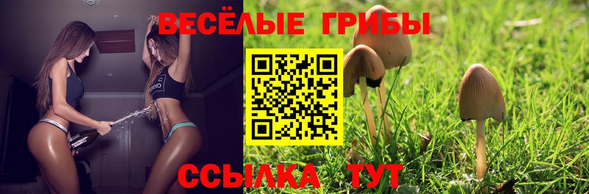 Галлюциногенные грибы прущие грибы  Вход с VPN  Владивосток  Псилоцибиновые грибы GOLDEN TEACHER 